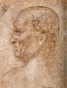 Master of the Pala Sforzesca, profile of an old man Leonardo Da Vinci